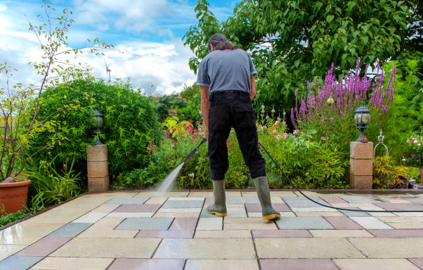 Trusted Thief River Falls, MN Pressure washing Experts